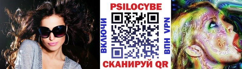 блэк спрут как войти  Дно  Псилоцибиновые грибы Magic Shrooms 